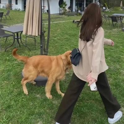 牺牲之旅